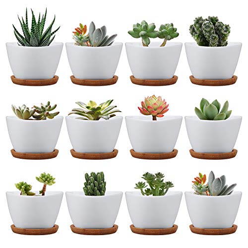 Succluent Pots,12 Pack Small Flower Pots,Planter Pots with Drinage