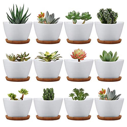 Succluent Pots,12 Pack Small Flower Pots,Planter Pots with Drinage