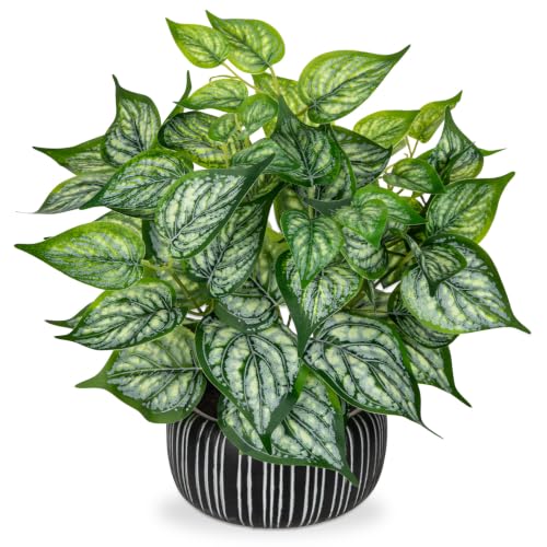 Artificial Plants Indoor Home Decor Small Faux Plant in Oval Ceramic Pot - color: #Green Mix White in Oval Ceramic Pot