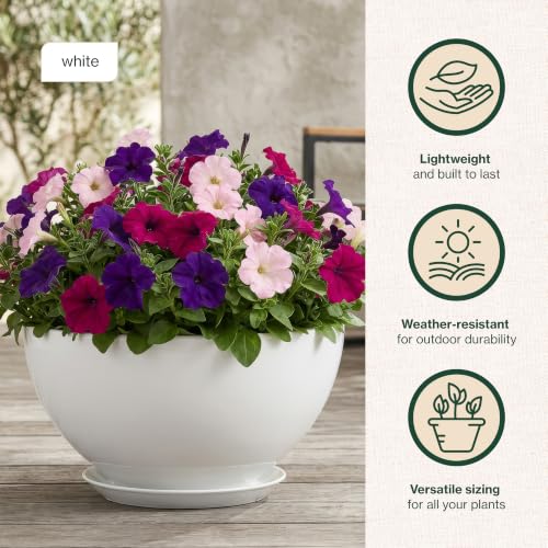 Rosie Planter Bowl, with Drainage and Saucer, 10” Stark White - color: Stark White