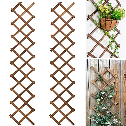Avalution Extensible Natural Garden Wooden Fence Lattice, 75"x11.8", 2Pack - color: 2 Pack, size: 6.3 x 1.0 ft