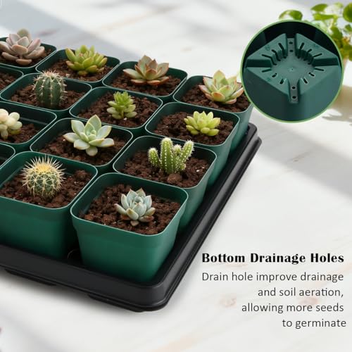 RooTrimmer 2.8 inch (7CM) Square Nursery Pots 120pcs (Green) and 24 Cell Nursery Pots Trays 5 Pack, Plastic Seedling Starter Tray with Drain Holes for Carrying and Holding Plant Pot(17"x11"x1.6") - color: Green, size: Pots 120 Pcs with 5 Pack Trays