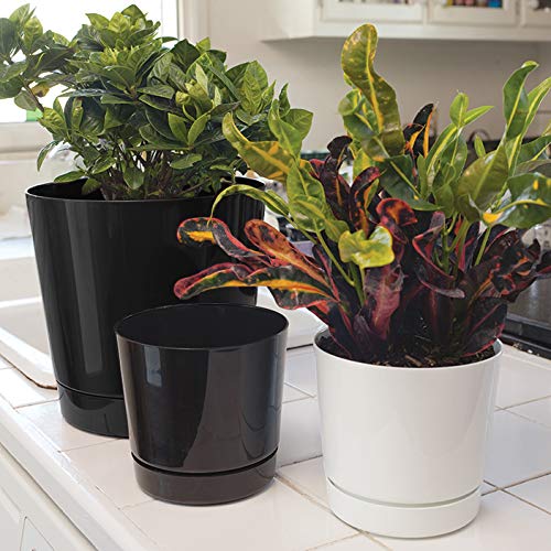 Novelty Majestic Full Depth Round Cylinder Pot, Glossy Black, 12-Inch (10128) - color: Black, size: 12 Inch