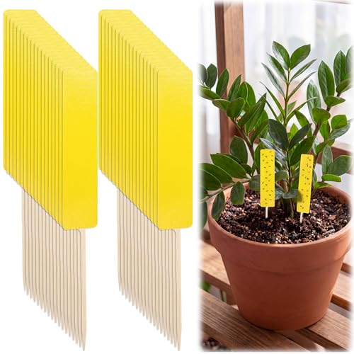 36 PCS Yellow Sticky Traps for Plant Gnats, Fungus Gnat Trap (4" x 1") - color: Yellow