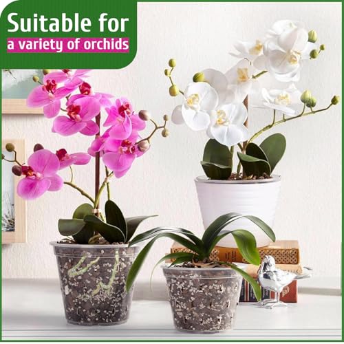 REMIAWY Orchid Pot, 6 Pack Orchid Pots with Holes, 5.5 Inch Clear Plastic Flower Planters for Repotting Indoor Outdoor, Breathable Slotted Nursery Planter