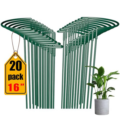 Plant Support Stakes 20 Pack 10" W x 16" H, Half Round Garden Stake, Metal Ring Border, Green Peony Cages and Supports for Tomato Hydrangea Flower Outdoor - size: 20pack 10inx16in