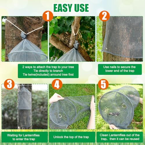 Qualirey 8 Pack Spotted Lanternfly Trap Lanternfly Killer for Tree,Grey - color: Gray
