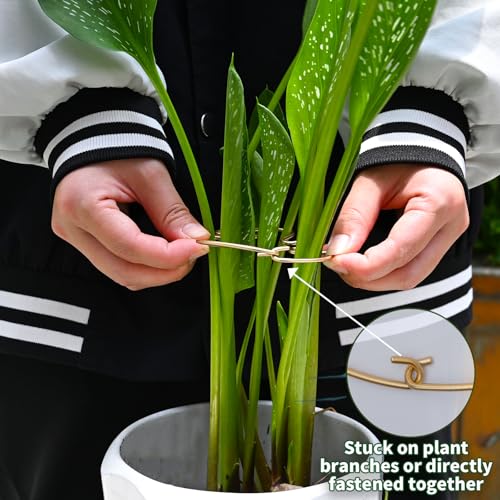 5PCS 4.13*2.95in Monstera Stem Support-Keep Plants Healthy&Upright - size: 4.13 x 2.95 inches