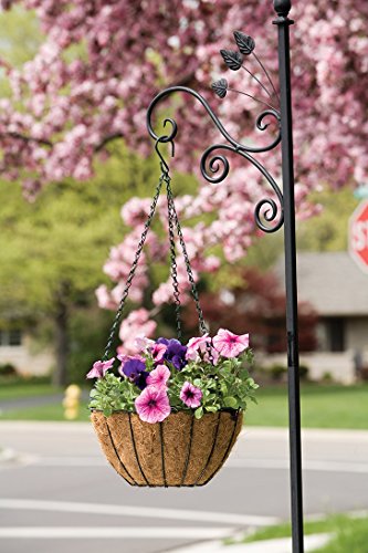 Panacea 88500 Growers Series Hanging Basket, Green, 12-Inch - size: 12 Inch