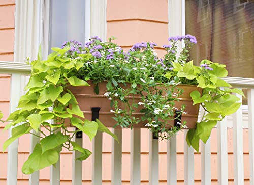 Achla Designs C-20C Copper Plated Flower Box, Medium Window Flowerbox Planter - color: Copper, size: Medium