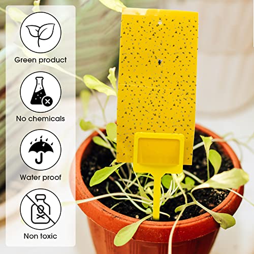 Qualirey 220 Pcs 7.9 x 4 Inch Yellow Sticky Traps for Plant Gnats Dual Sided Fruit Fly Sticky Traps for Indoors Outdoors with Twist Ties & Plastic Holders for Insect, Fungus Gnats, Whiteflies, Aphids - size: 7.9 x 4 Inch