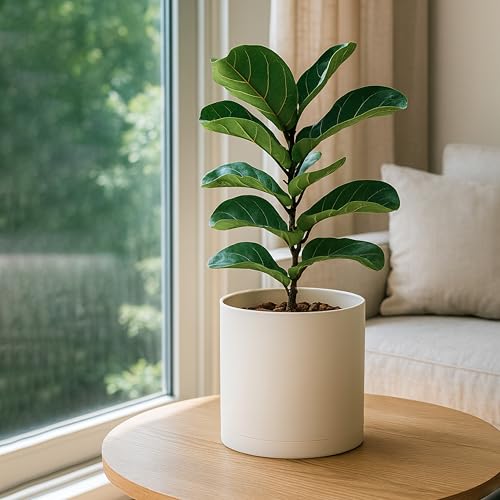D'vine Dev Plastic Planter Pot with Saucer, 10 in, Oatmeal, 74-X-H-2 - color: Oatmeal, size: 10 Inch