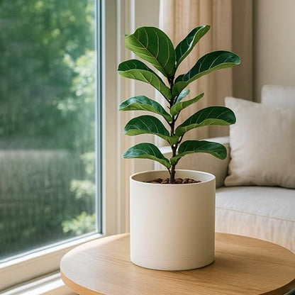 D'vine Dev Plastic Planter Pot with Saucer, 10 in, Oatmeal, 74-X-H-2 - color: Oatmeal, size: 10 Inch