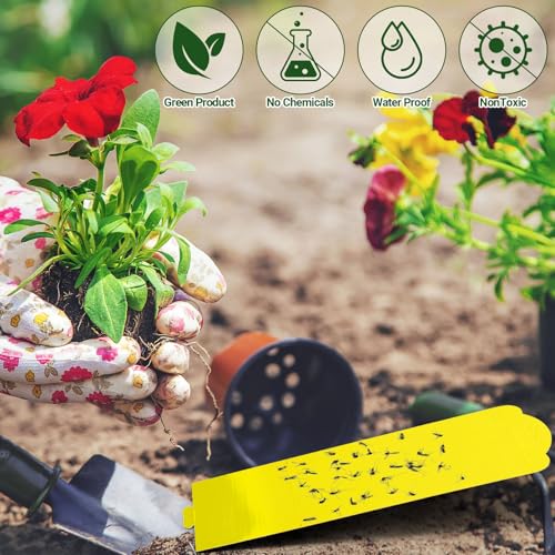 40 Piece Hanging Insect Fly Glue Trap, Sticky Traps with Attractant, Yellow Sticky Fly Strips Gnat Traps for Kitchen, Indoor Plants, Garden Adhesive Glue Boards