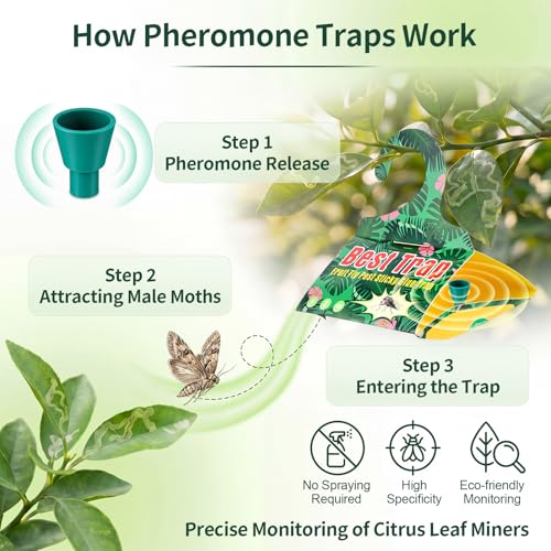 6 Pack Citrus Leafminer Trap & Lure with Pheromone Lures – Triangular Hanging Sticky for All Varieties of Citrus Trees, Includes 6 Traps & 6 Lures, for Orchard & Garden Use - style: for Citrus