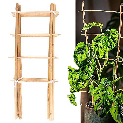 Avalution 10 Pack Natural Bamboo Trellis for Climbing Plants 16" Outdoor Garden Ladder Trellis, Fan -Shaped Plant Support Trellis for Potted Plant - color: Ladder-Shaped, size: 10 PACK-16 inches