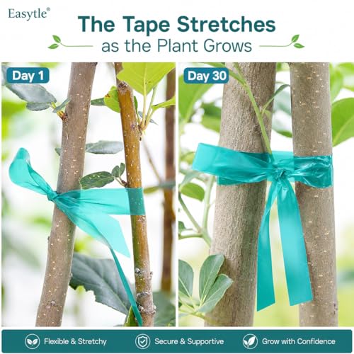 Easytle 4 Pack x 150 ft Stretch Tie Tape Roll, 1/2" Garden Tie Tape, Thick Sturdy Plant Ribbon Garden Green Vinyl Stake Gardening Tools for Indoor Outdoor Patio Plant Use - size: 300 ft (Pack of 2)
