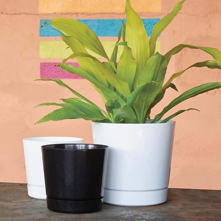 Novelty Majestic Full Depth Cylinder Pot, Glossy White, 10-Inch (10102) - color: White, size: 10 Inch