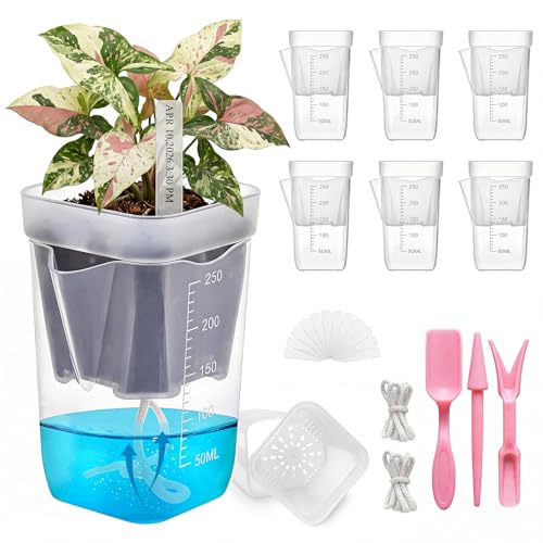 HITOSTAR 6 Pack 2.5 Inch Mini Clear Self Watering Pots for Indoor Plants, Small Plastic Planters with Drainage, Hydroponic Nursery Propagation Cups, for African Violet Alocasia Pot (2.5 Inch, 6Pack) - size: 2.5 Inch