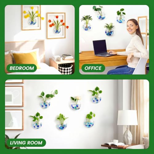 DomeStar Set of 2 Wall Vases, Wall Mounted Propagation Station - size: 2pcs