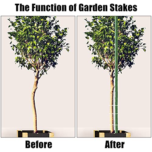 FEED GARDEN Garden Stakes 72 Inch 6ft 25 Pack, Sturdy Plant Metal Sticks Support, Plastic Coated Plant Stakes,Tomato Stakes, Beans,Trees