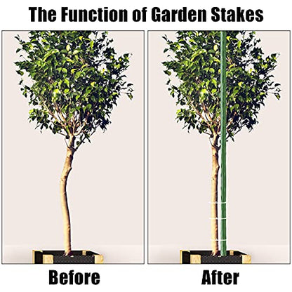 FEED GARDEN Garden Stakes 72 Inch 6ft 25 Pack, Sturdy Plant Metal Sticks Support, Plastic Coated Plant Stakes,Tomato Stakes, Beans,Trees
