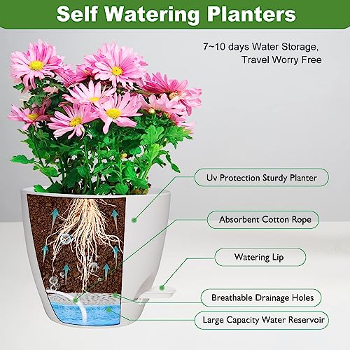 5/6/5.5/5 Inch 7/6.Self Watering Pots for Indoor/Outdoor Plants, 5 Pack - color: Matte White-5pack, size: 7/6.5/6/5.5/5 inch