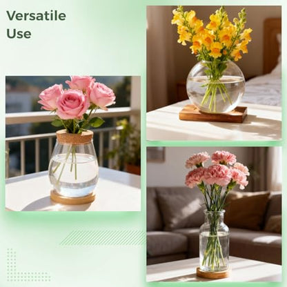 6PCS Plant Propagation Station, Desktop Plant Propagation Jars with Wood Lid and Stand, Glass Propagation Vases for Plant Growing, Hydroponic Home, Office Decor (6 Styles)