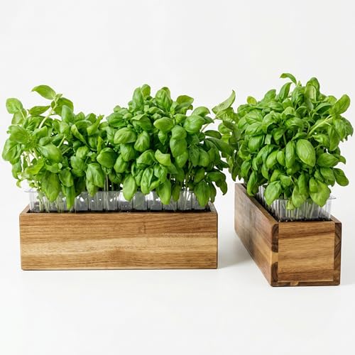 zaqro 17” Wooden Planter Boxes Set of 2 - Acacia Herb Planter Indoor