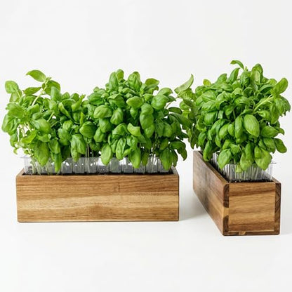 zaqro 17” Wooden Planter Boxes Set of 2 - Acacia Herb Planter Indoor