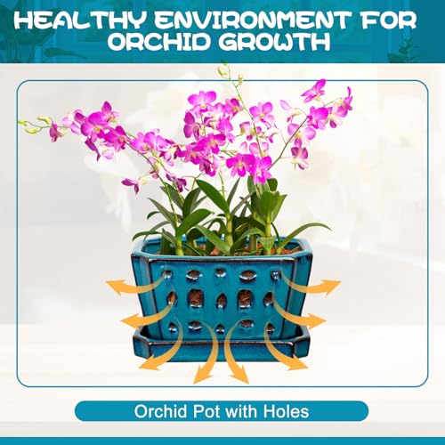 Teenyyou 7 Inch Ceramic Orchid Pot with Holes and Saucer Repotting,Blue - color: Blue