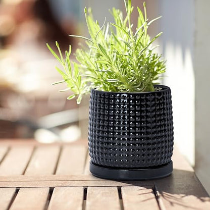 D'vine Dev Beaded Ceramic Pot with Saucer, 4 in, Glossy Black, 27-C-Z-2 - color: Glossy Black, size: 4.3 Inch