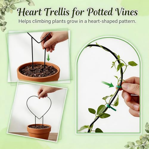 3 Pcs Hoya Trellis Set, Heart Shaped Plant Stand,