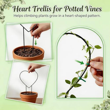 3 Pcs Hoya Trellis Set, Heart Shaped Plant Stand,
