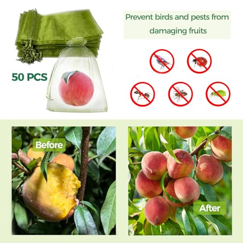 50Pcs Fruit Protection Bags for Fruit Trees, Green Organza Mesh Drawstring Bags for Garden Protection, Pest Barrier, Gift Vegetable Bags (6x8 inch) - size: 6x8 inch