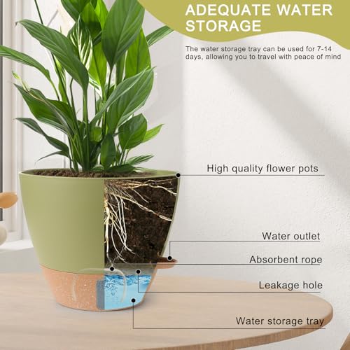 Self Watering Pots for Indoor Plants 12/10/9/8 Inch Plastic with Reservoir - color: Green