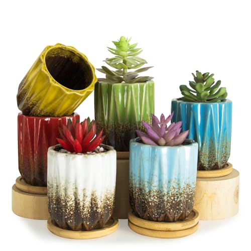 Succulent Pots, 3.15 Inch Small Plant Pots with Drainage Trays Set of 6 - color: Colorful - 3.15*3.5 Inch