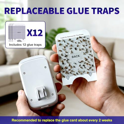 Upgraded Fruit Fly Traps for Indoors, Flying Insect Trap for Fruit Flies, Gnats, Plug in Bug Zapper Indoor with Dual-UV Lights & Trapping, Electric Grid & Glue Traps - size: 12 Glue Boards