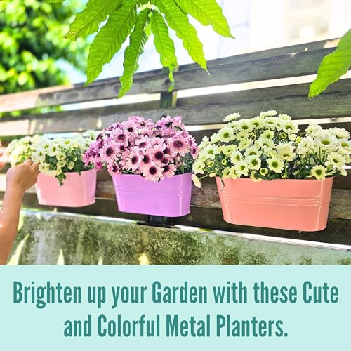 LaLaGreen Outdoor Rail Planter (11.2 in, 6 Pack) Rainbow Metal Hanging Pots - size: Multi-H 11.2" x 6 Pack