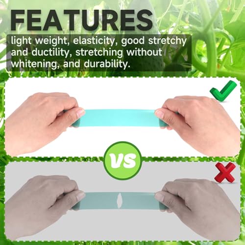 Easytle Stretch Tie Tape Roll, 1" 150ft Garden Tie Tape Reusable Garden Plant Ties Thick Sturdy Plant Ribbon Garden Green Vinyl Stake Gardening Tools for Indoor Outdoor Patio Plant Use