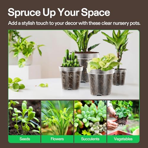 VIVOSUN 40 Packs 3/4/5/6 Inch Clear Nursery Pots with Drainage Holes - size: 3/4/5/6 Inch