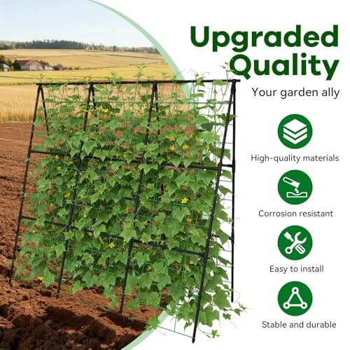 Cucumber Trellis 49.4"*49.4" Metal Garden Trellis for Climbing Plants,Black - color: black, size: 50"*32"*50"