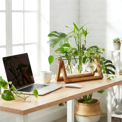 Renmxj Plant Propagation Station, Plant Terrarium with Wooden Stand - size: 3 Bulb Vase