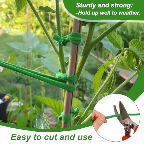 Shintop 2 Packs Garden Twine, Soft Green Plant Ties for Tomato (196ft)