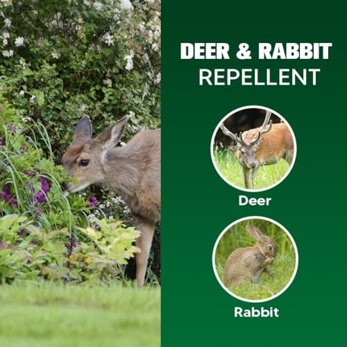 LAQDECDV Deer Repellent, Rabbit Repellent Outdoor, Deer Deterren for Yard & Garden, Bunny Repellent Balls, Keep Deer, Elk, Moose Away from Plant/Tree, Deer & Rabbit Repellant, 90 Days Protection-8P - size: 1.4 Ounce (Pack of 8)