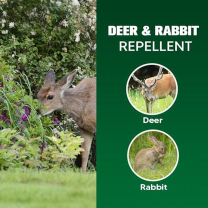 LAQDECDV Deer Repellent, Rabbit Repellent Outdoor, Deer Deterren for Yard & Garden, Bunny Repellent Balls, Keep Deer, Elk, Moose Away from Plant/Tree, Deer & Rabbit Repellant, 90 Days Protection-8P - size: 1.4 Ounce (Pack of 8)