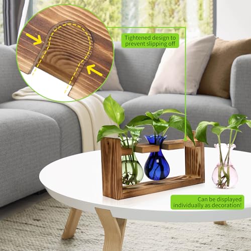 Plant Propagation Station Plant Terrarium Unique Birthday Gifts for Women - color: Color01