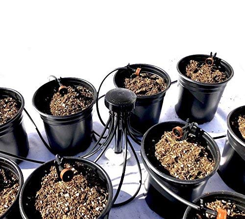 12 Plant Drip Grow Kit - Starter Hydroponics Irrigation Bubbler/Manifold Kit - Includes 100'ft 1/8" Distribution Tubing, Emitter Stakes, Manifold & Plugs (Pots Sold Separately) (1 GPH) - size: 1 GPH