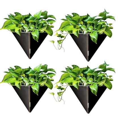 LaLaGreen Wall Planter for Indoor (12in, 4 Pack) Large Self Watering Plants - color: Black X 4 Pack