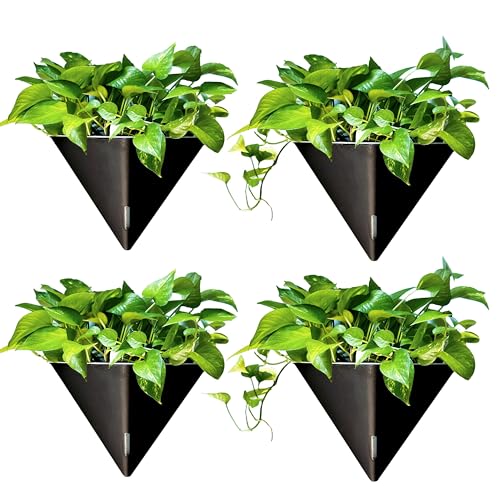 LaLaGreen Wall Planter for Indoor (12in, 4 Pack) Large Self Watering Plants - color: Black X 4 Pack